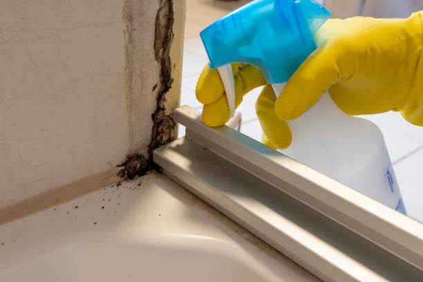 Best Mold Testing  in Akwesasne, NY