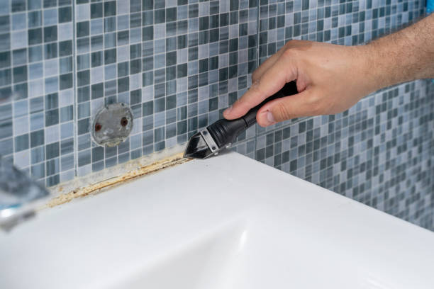 Best Mold Testing  in Akwesasne, NY